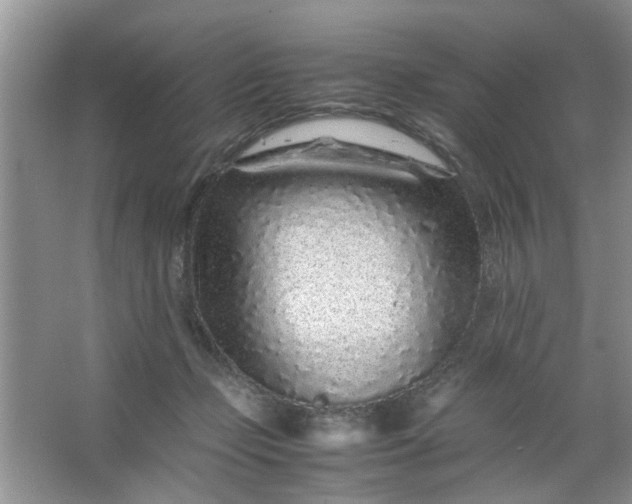 X0000067000365200604072155