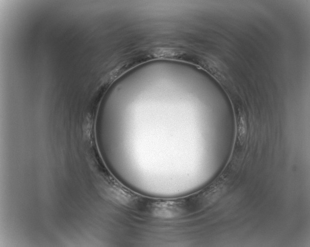 X0000067000367200604072155