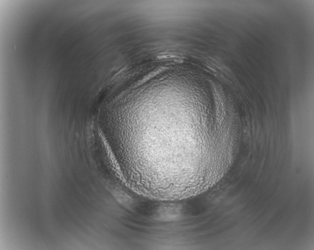 X0000067000369200604072155