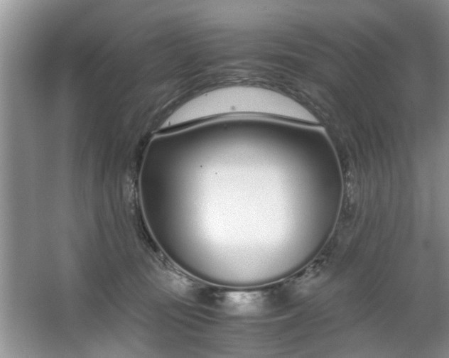 X0000067000371200604072155