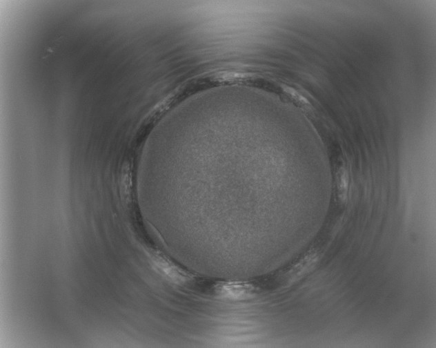 X0000067000372200604072155