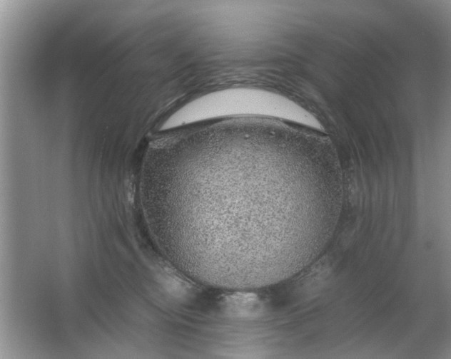 X0000067000374200604072155