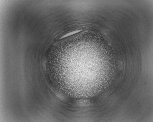 X0000067000375200604072155