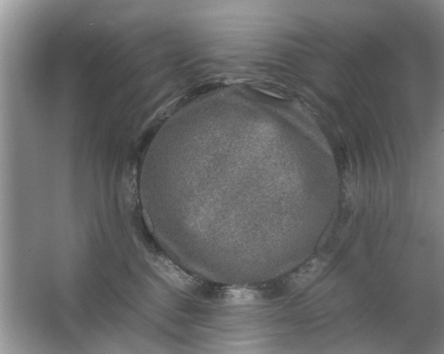 X0000067000376200604072155