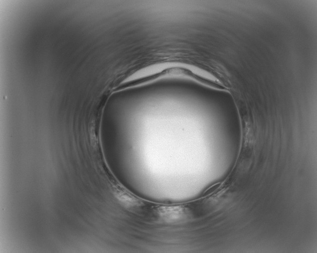 X0000067000377200604072155