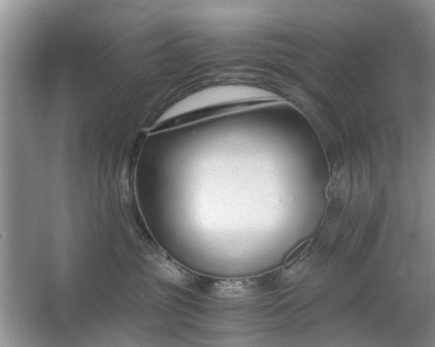 X0000067000381200604072155