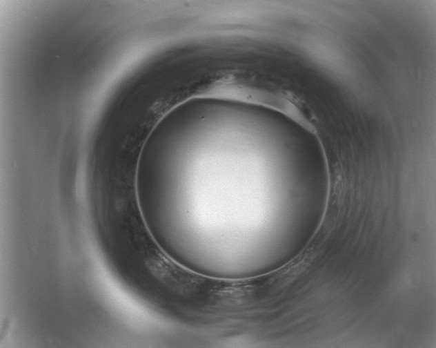 X0000067000383200604072155