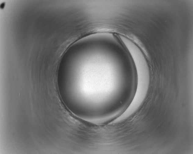 X0000067000385200604072154