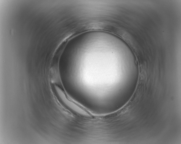 X0000067000386200604072154