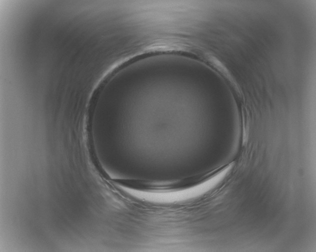 X0000067000387200604072154