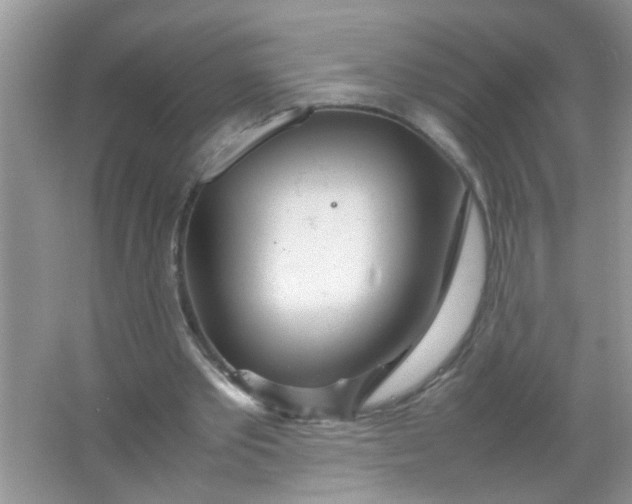 X0000067000389200604072154