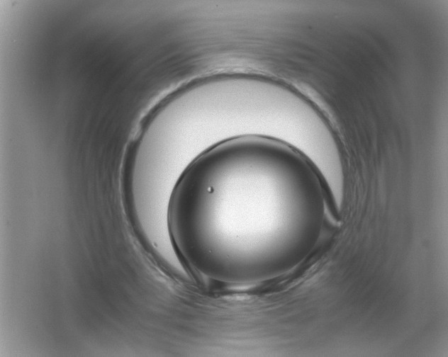 X0000067000391200604072154