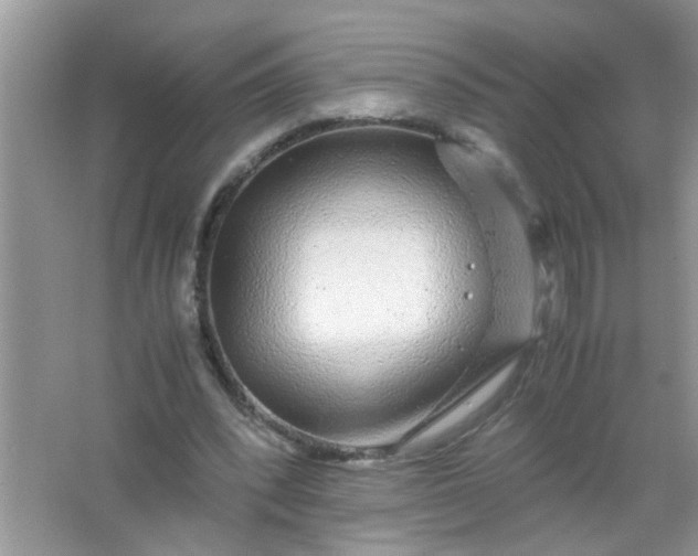 X0000067000392200604072154