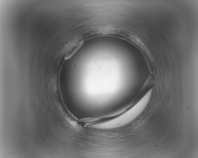 X0000067000393200604072154