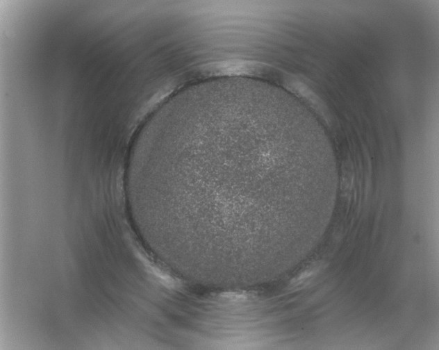 X0000067000394200604072154