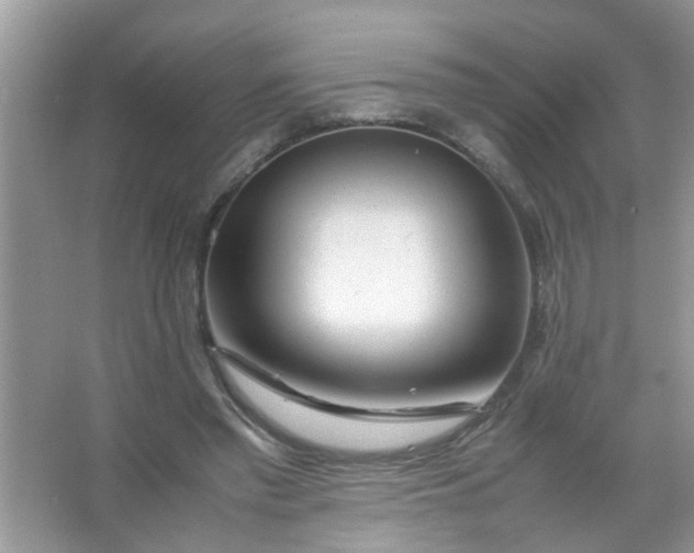 X0000067000397200604072154