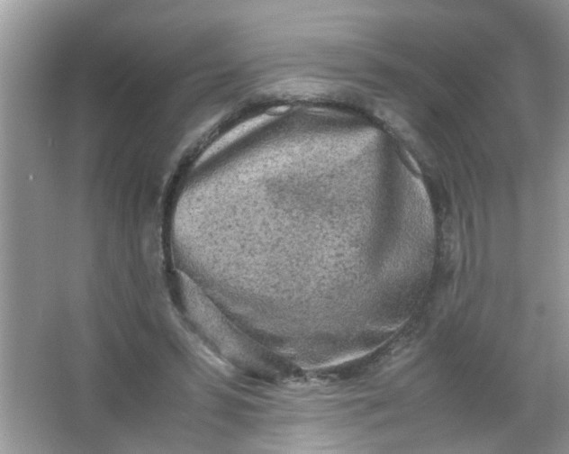 X0000067000399200604072154