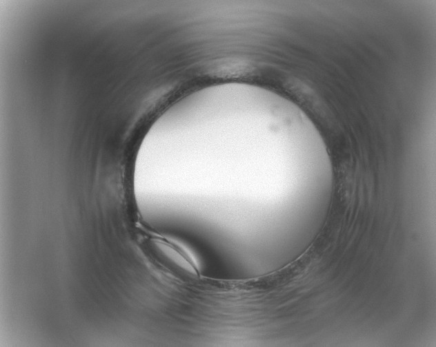 X0000067000400200604072154