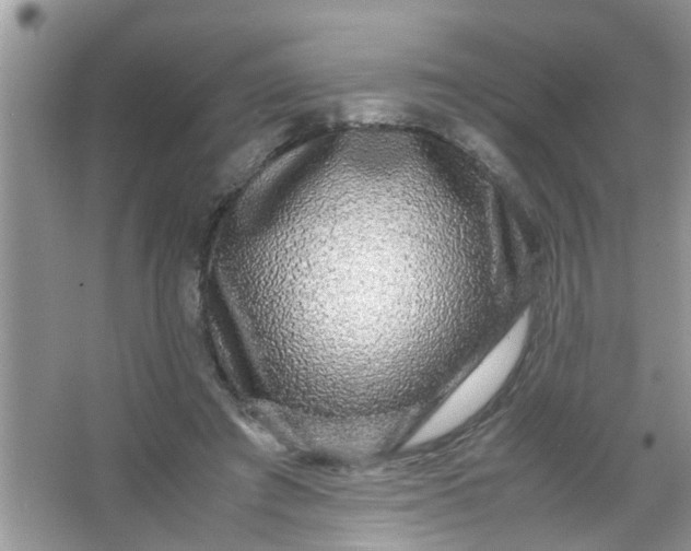 X0000067000401200604072154