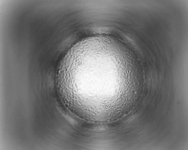 X0000067000402200604072154