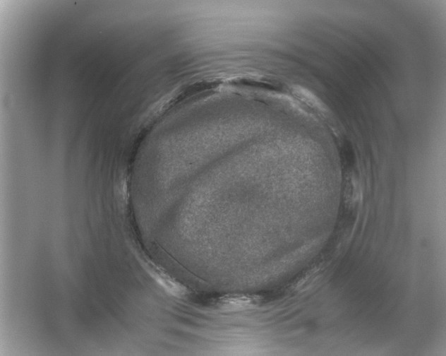 X0000067000405200604072154