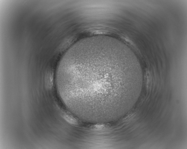 X0000067000406200604072154