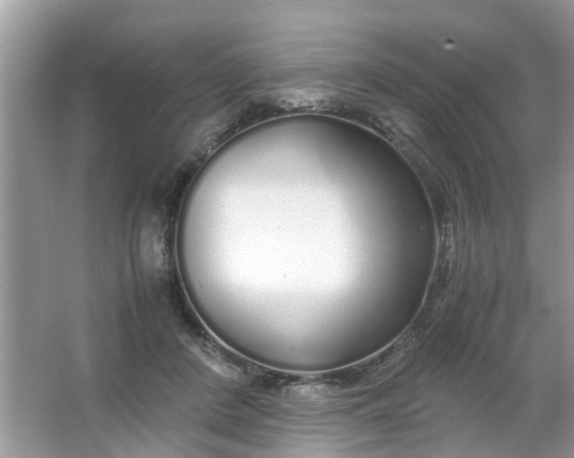 X0000067000408200604072154