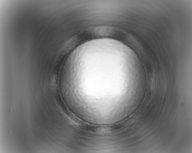 X0000067000410200604072154