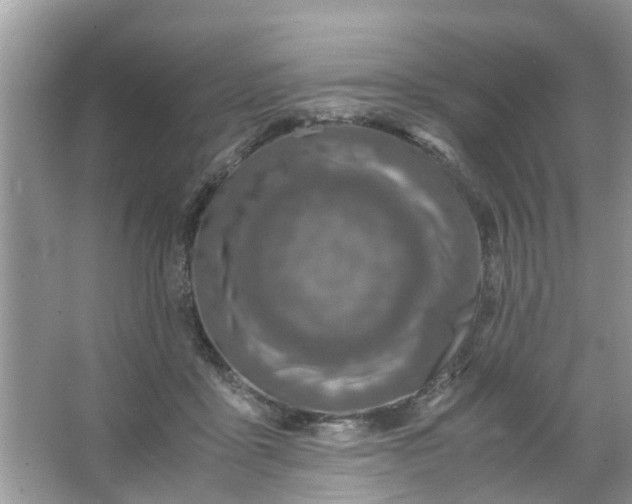 X0000067000411200604072154