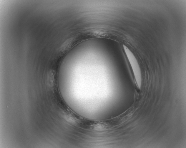 X0000067000412200604072154