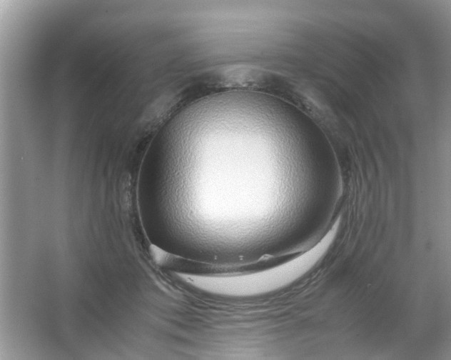 X0000067000413200604072154