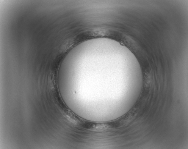 X0000067000414200604072154