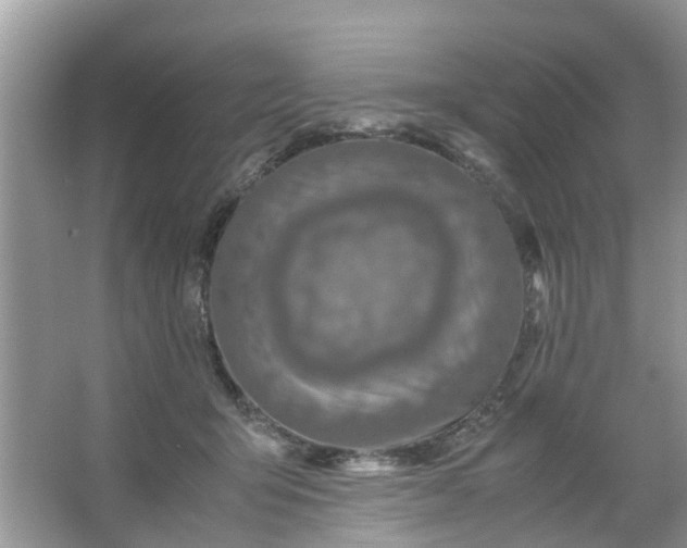 X0000067000415200604072154