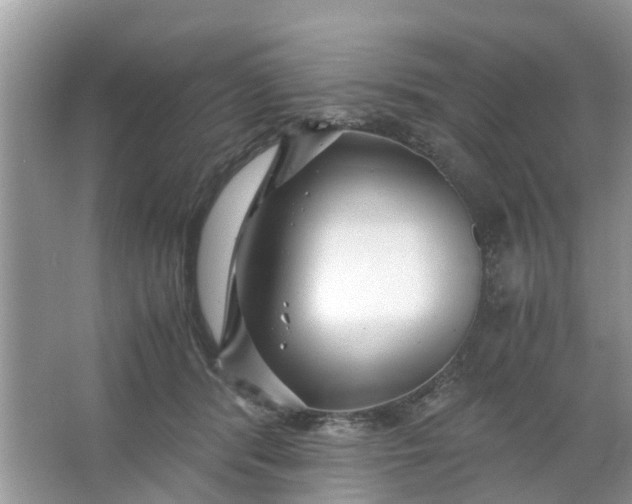 X0000067000416200604072154