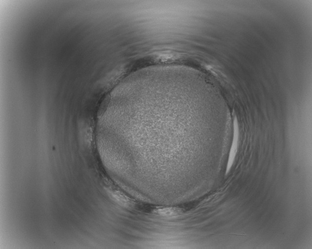 X0000067000417200604072154