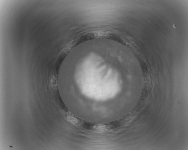 X0000067000419200604072154