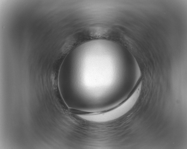 X0000067000420200604072154