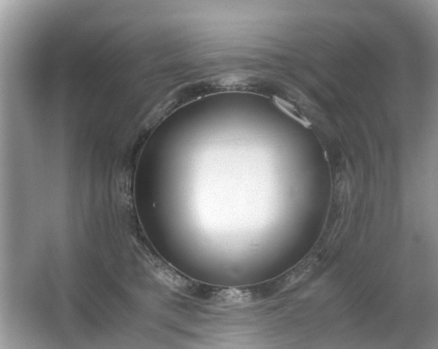 X0000067000421200604072154