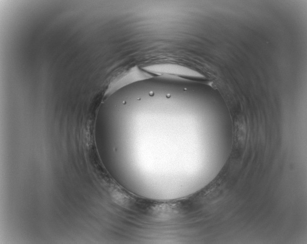 X0000067000422200604072154