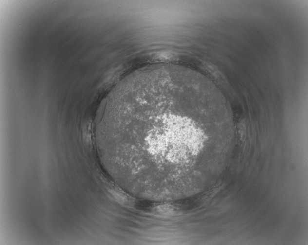 X0000067000423200604072154