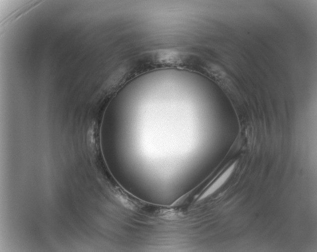 X0000067000424200604072154