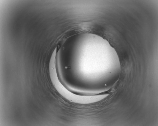 X0000067000425200604072154