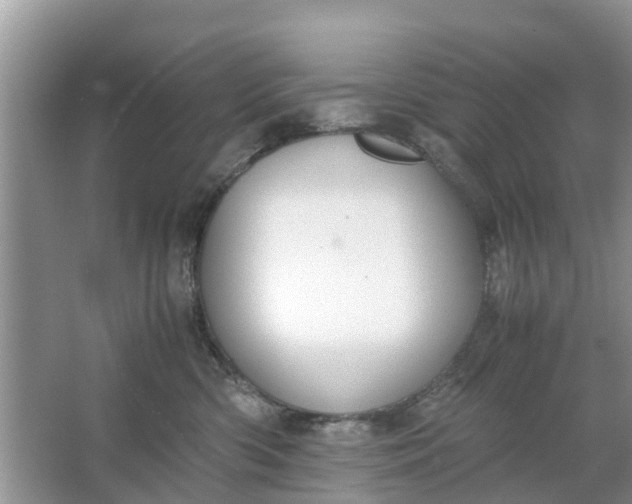 X0000067000426200604072154