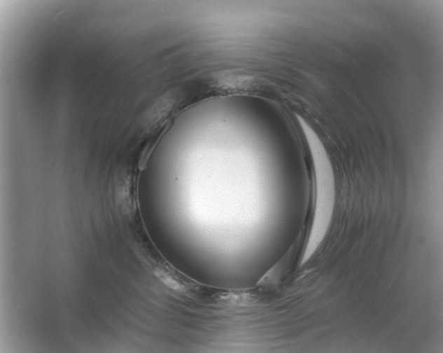 X0000067000428200604072154