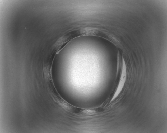 X0000067000429200604072154