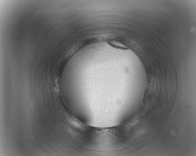 X0000067000430200604072154