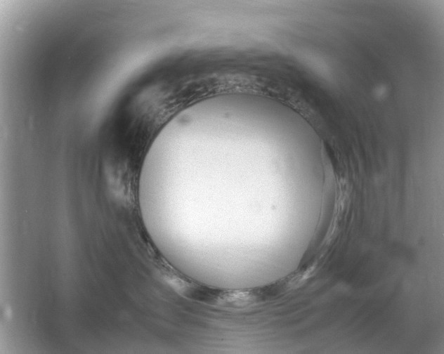 X0000067000431200604072154