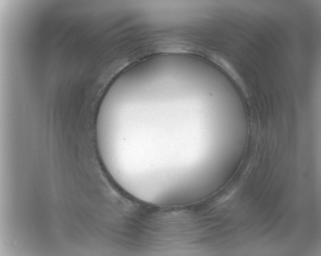 X0000067000433200604072153