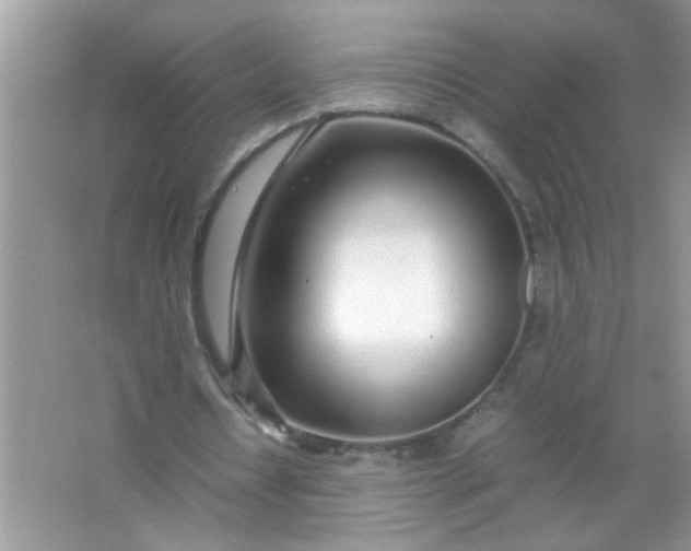 X0000067000434200604072153