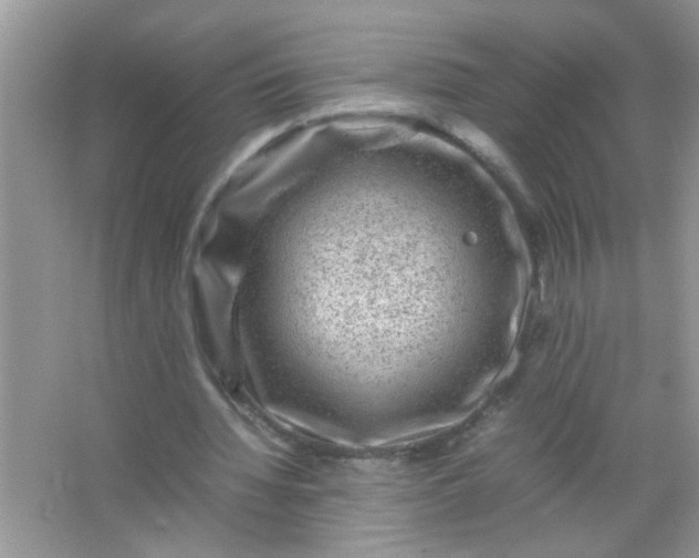 X0000067000436200604072153